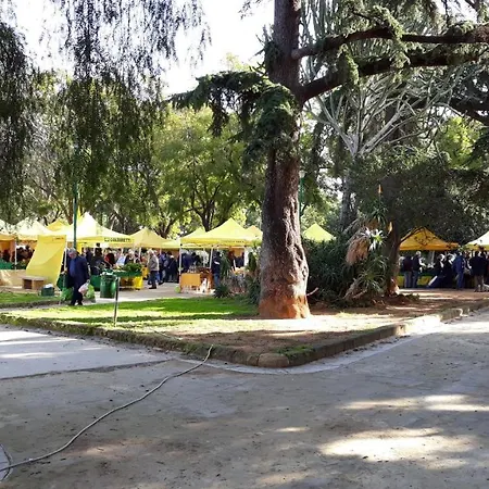 Se Vi Pare 4* 巴勒莫