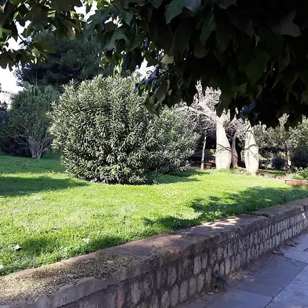 Se Vi Pare